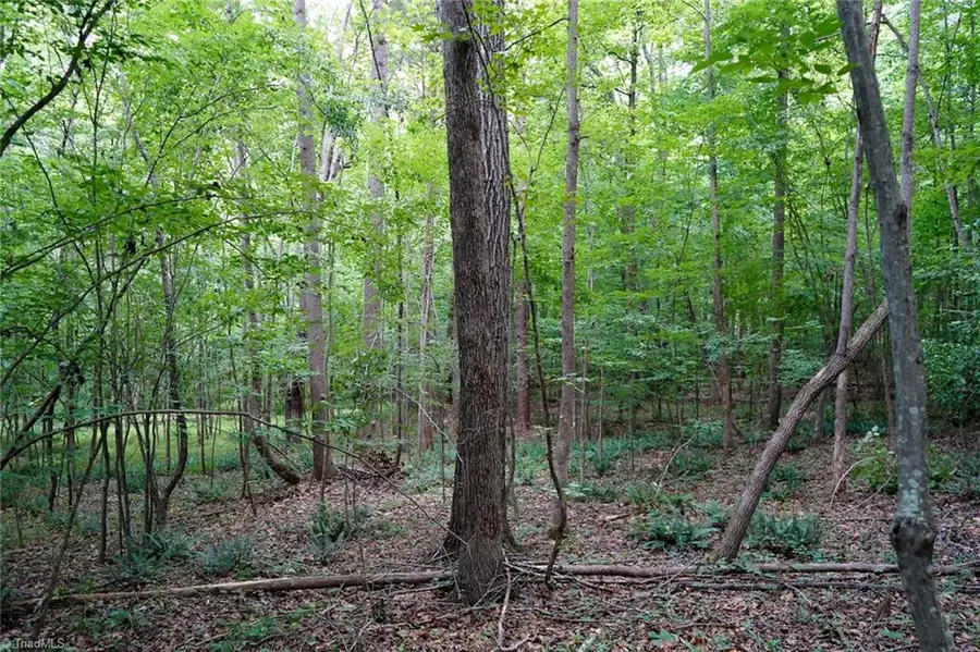 220 Austin Lane, Stokesdale, NC 27357 - #3