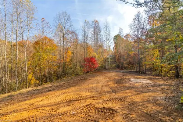 1165 Dehart Community Ctr Road, Hays, NC 28635