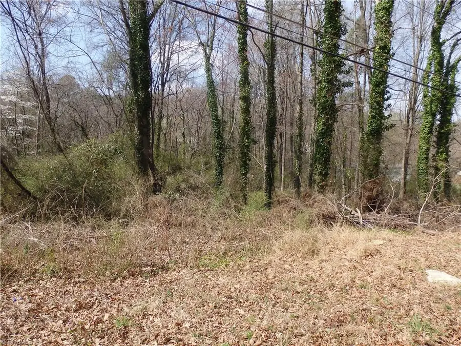 0 Chestnut Street, Asheboro, NC 27203 - #2