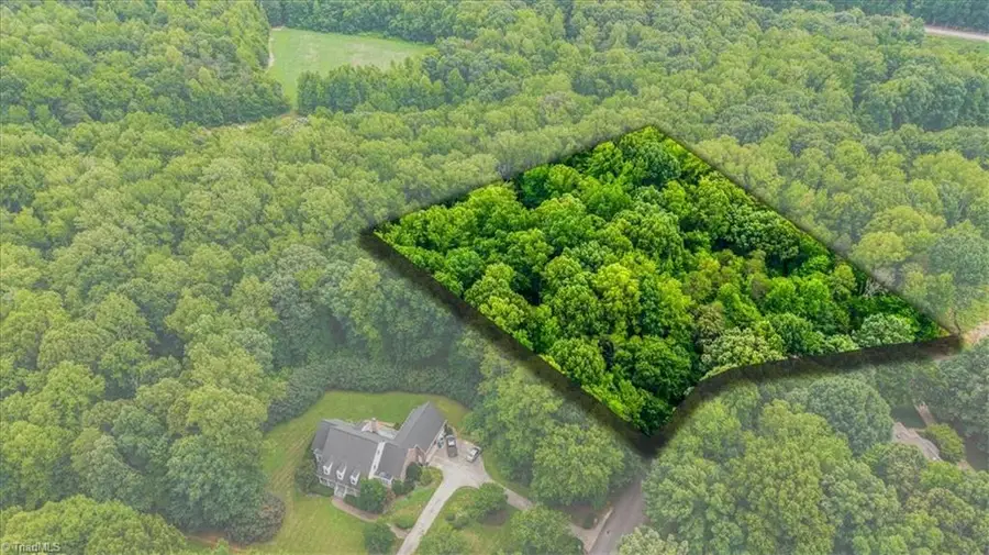 8006 Chatsworth Court, Browns Summit, NC 27214 - #3