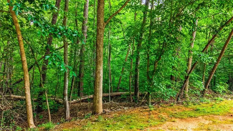 8002 Chatsworth Court, Browns Summit, NC 27214 - #2
