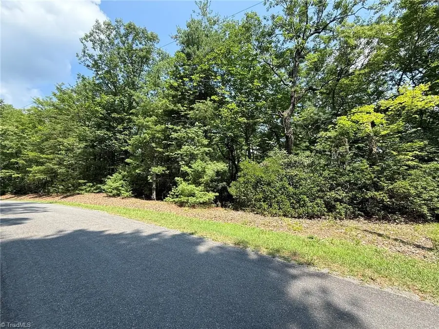 Lot 87 Mcintosh Drive, Lowgap, NC 27024 - #3