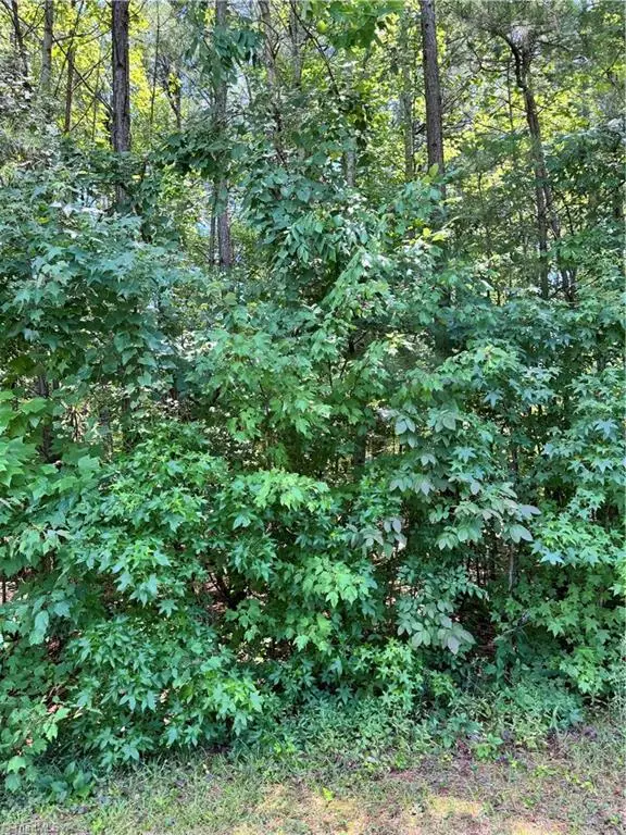 na Warrior Way, Lexington, NC 27295