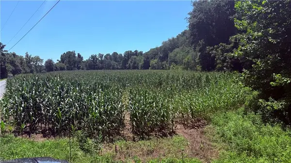 TBD Rockford Road, Dobson, NC 27017