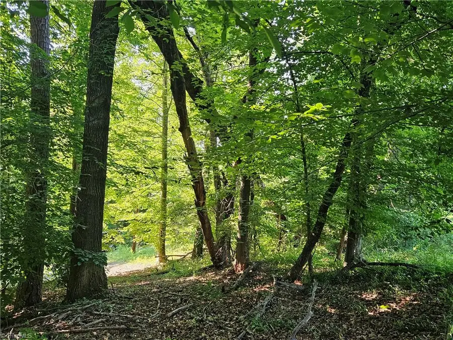 0 S Brenhaven Drive, Elkin, NC 28621 - #3