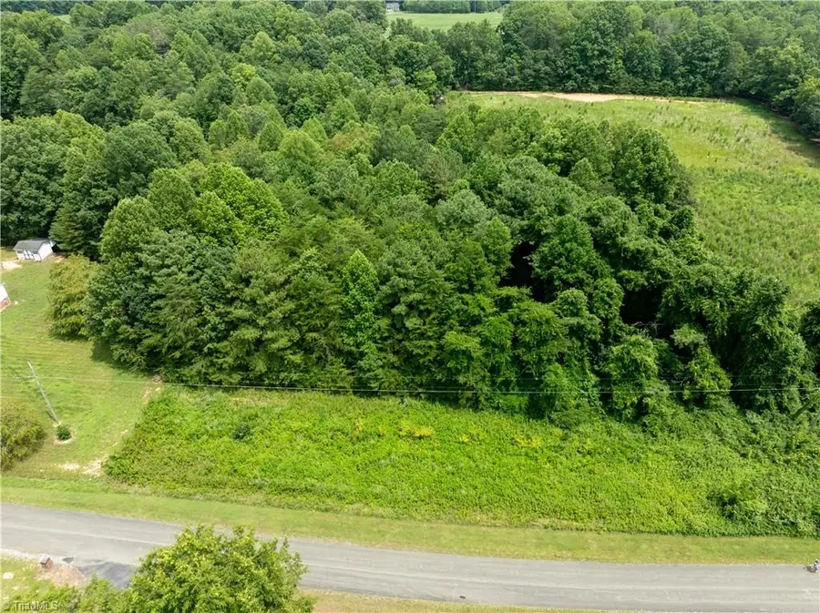 0 J P Lynch Road, Pilot Mountain, NC 27041 - #2