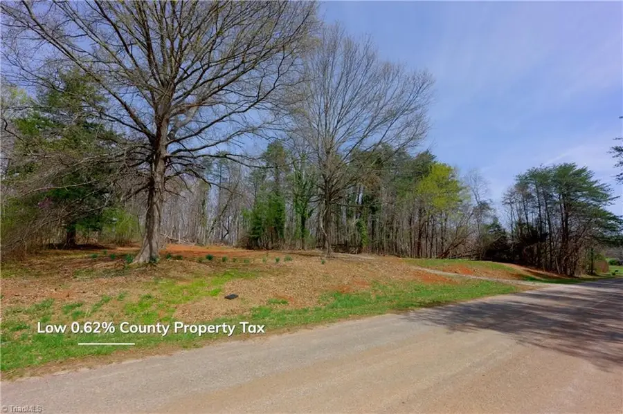 0 Johnson Farm Road #2, Pilot Mountain, NC 27041 - #2
