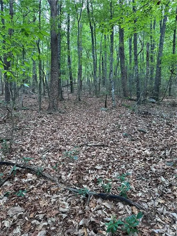 1070 Elm Street, Danbury, NC 27016