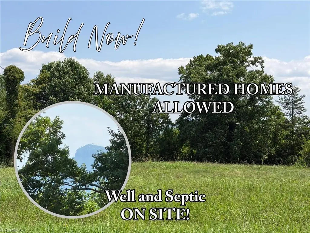 166 Springfield Road, Pilot Mountain, NC 27041 - #1