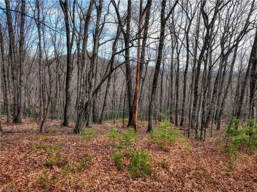 TBD Ivy Green Trail, Lowgap, NC 27024 - #2