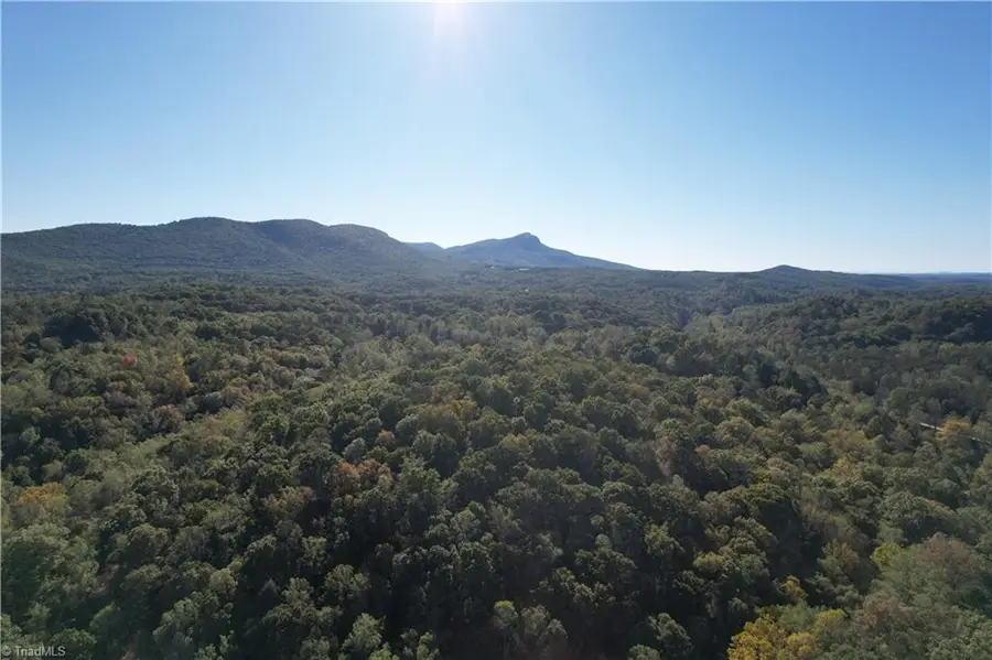 01 Seven Island Road, Danbury, NC 27016 - #3