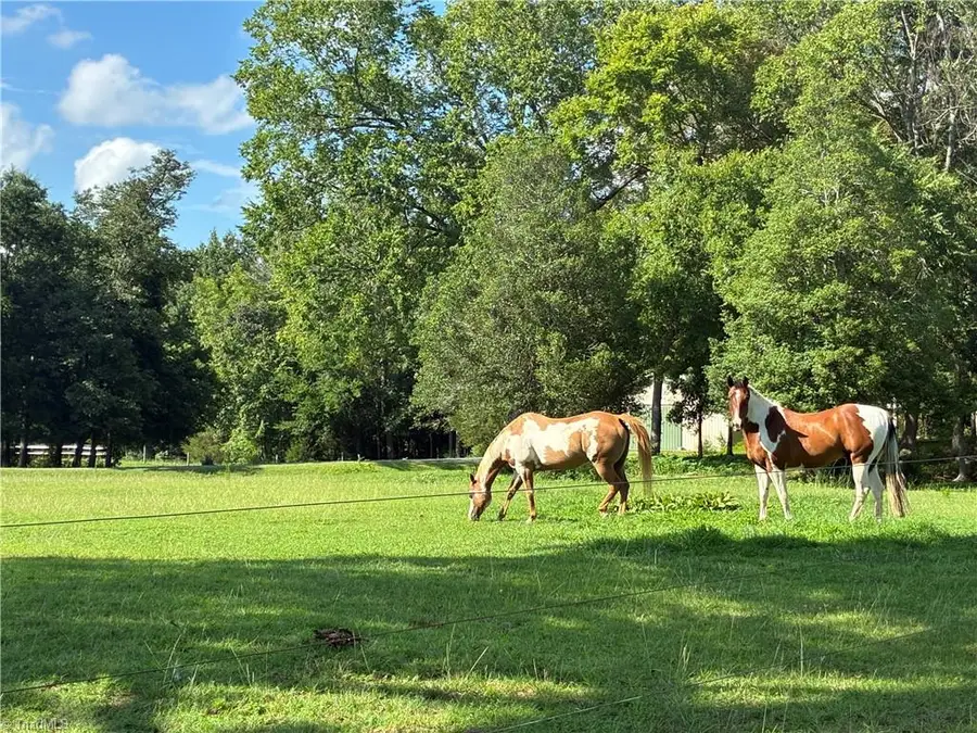 6967 Garrett Store Road, Liberty, NC 27298 - #2