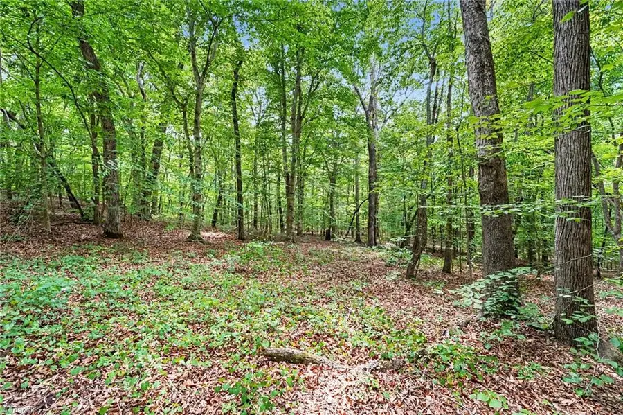 0 Yellow Poplar Lane, Lexington, NC 27295 - #2