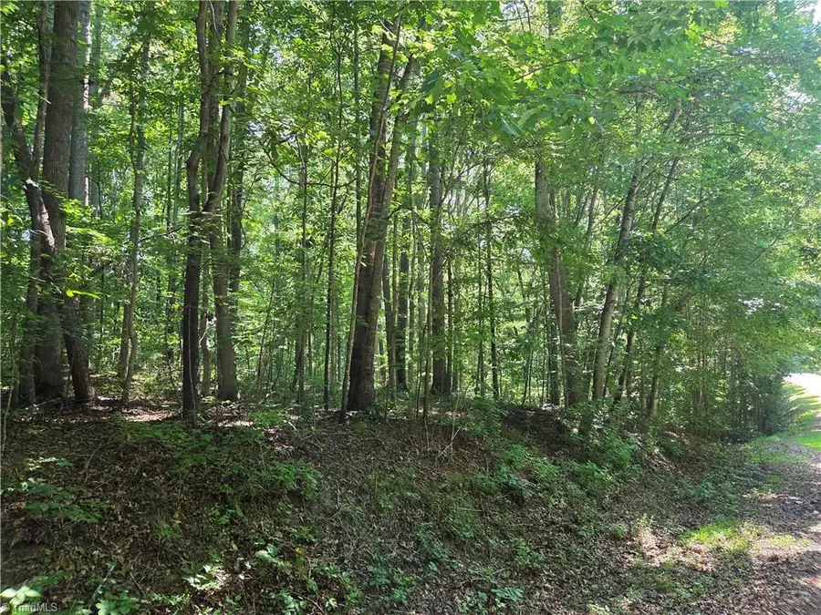 Lot 1 Pin Tail Drive, Reidsville, NC 27320 - #2