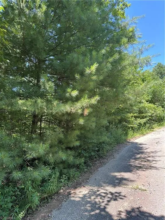 3960 Winston Drive, Morganton, NC 28655 - #1