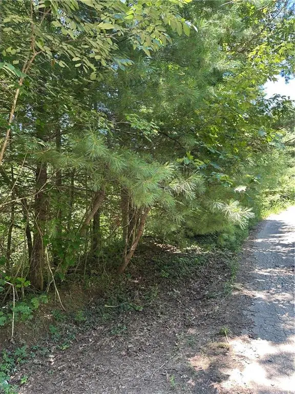 3960 Winston Drive, Morganton, NC 28655 - #2