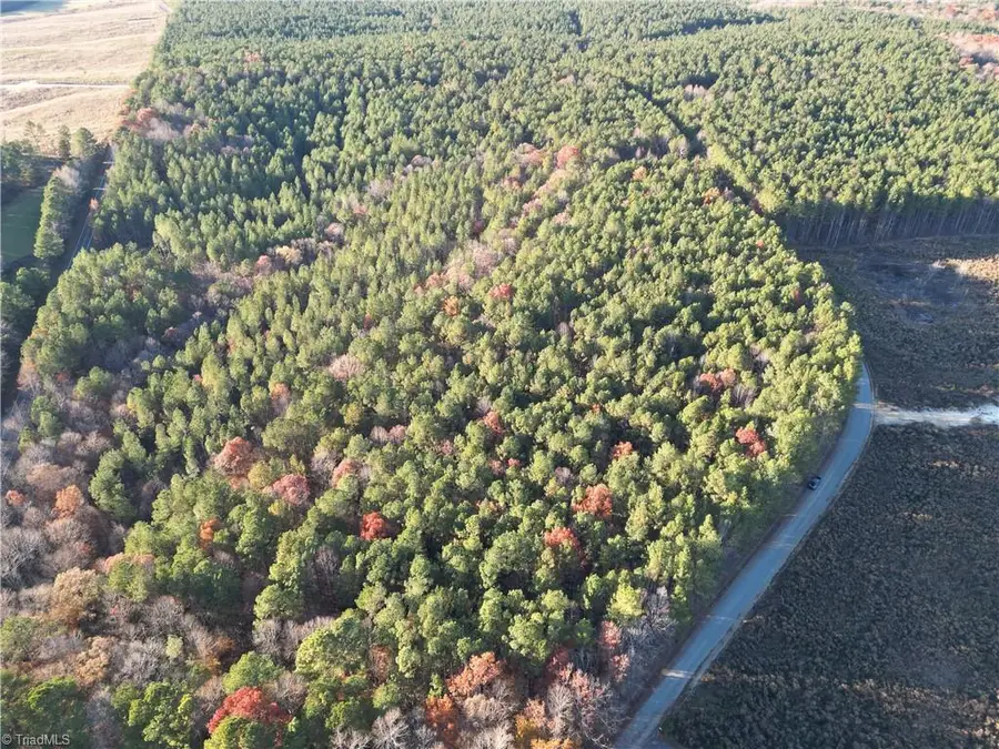 Lot 13 Woods Road, Seagrove, NC 27341 - #2