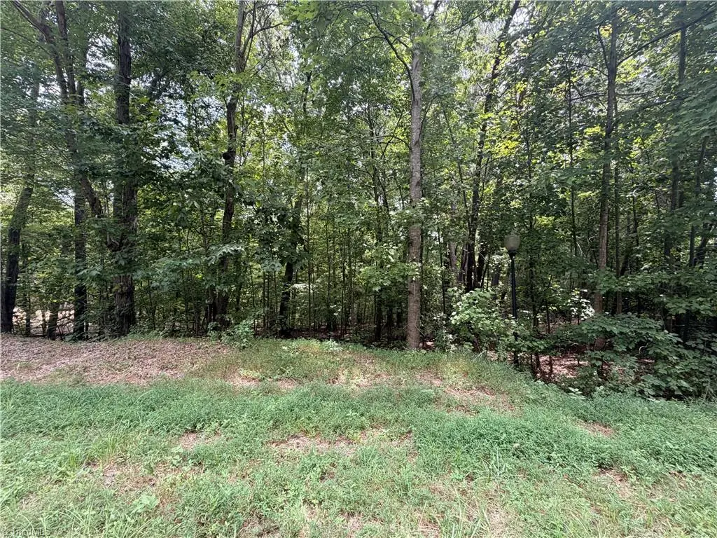 317 Glenrobin Drive, Eden, NC 27288 - #1