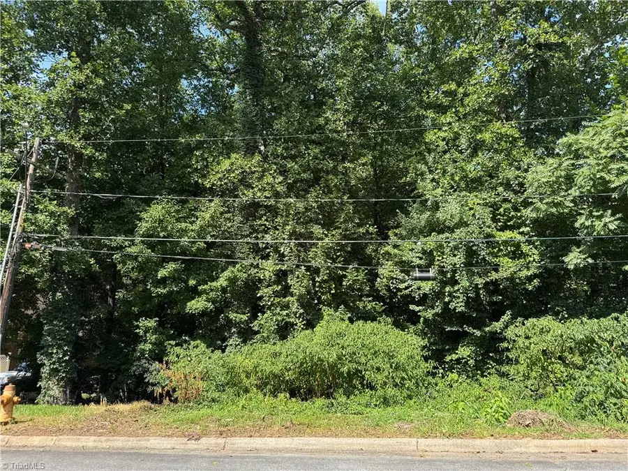 0 Dilworth Street, Winston Salem, NC 27101 - #2