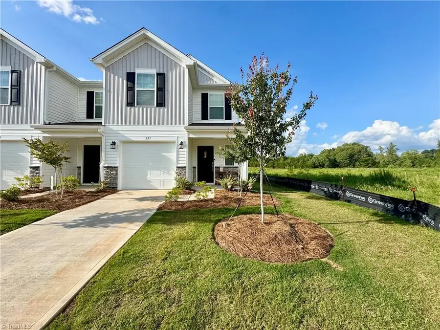 227 Plumtree Court, King, NC 27021 - #2