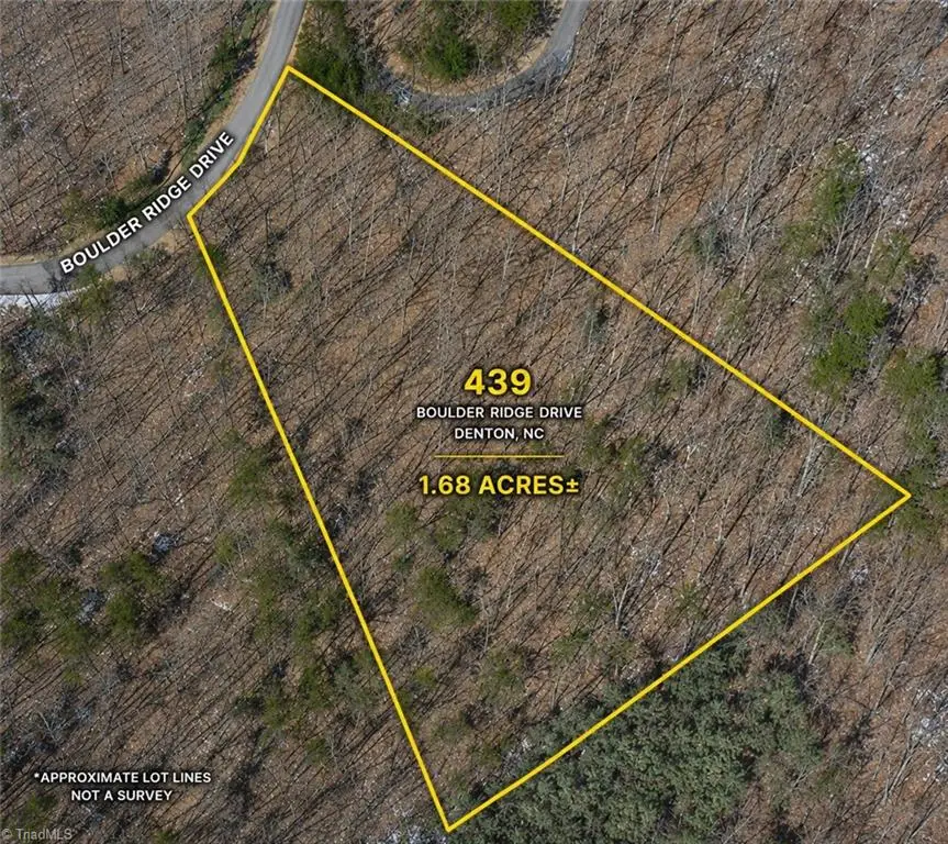 439 Boulder Ridge Drive, Denton, NC 27239 - #1