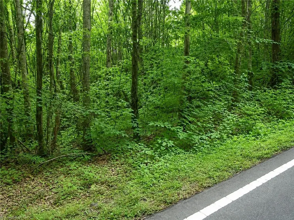 0 Sheppard Mill Road, Danbury, NC 27016 - #1