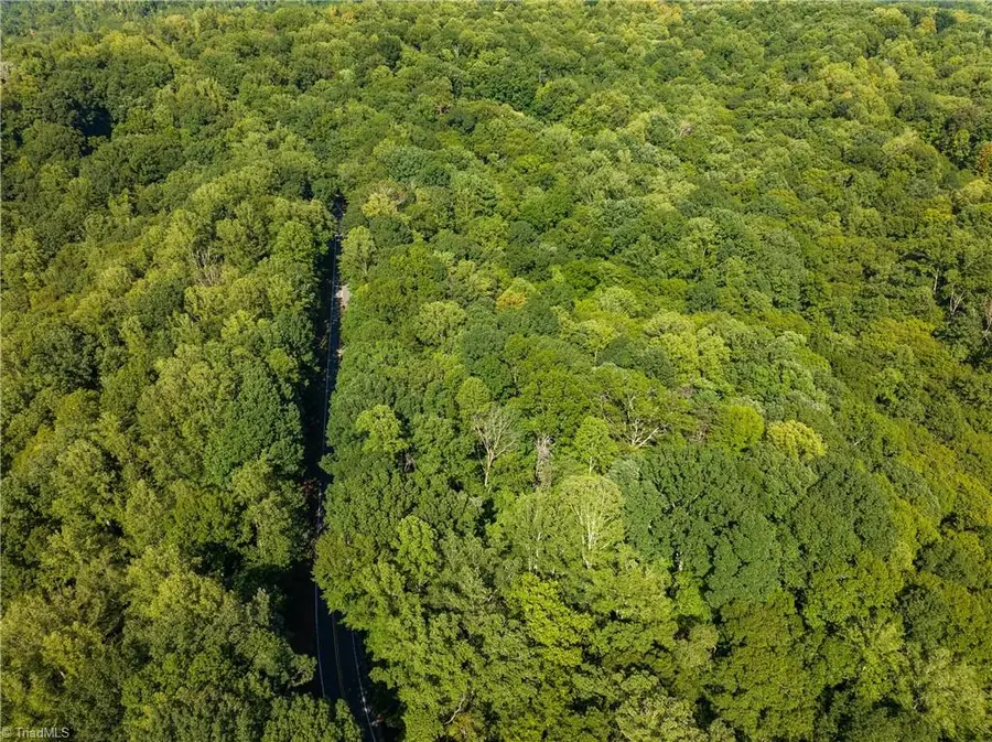 0 Sheppard Mill Road, Danbury, NC 27016 - #3