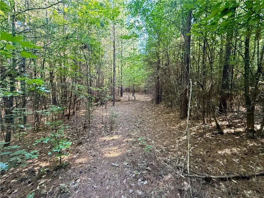 0 Piney Grove Road, Kernersville, NC 27284 - #2