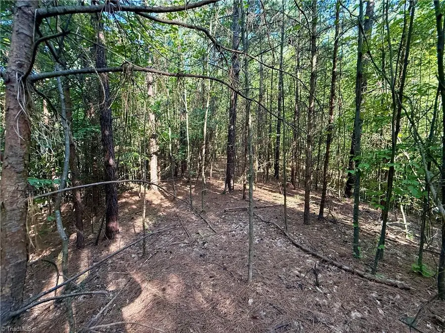 0 Piney Grove Road, Kernersville, NC 27284 - #3