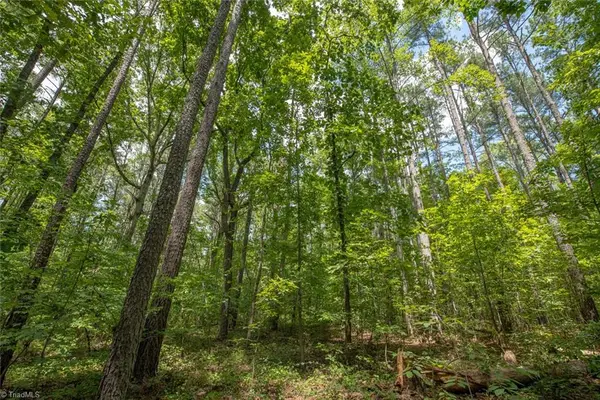 8942 Spearman Road, Reidsville, NC 27320