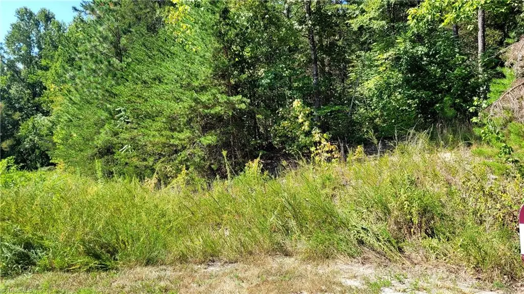 222 Kingfish Street, Midway, NC 27107 - #1
