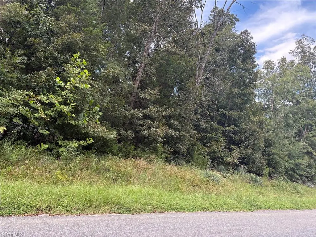 7149 Nature Road, Liberty, NC 27298 - #1