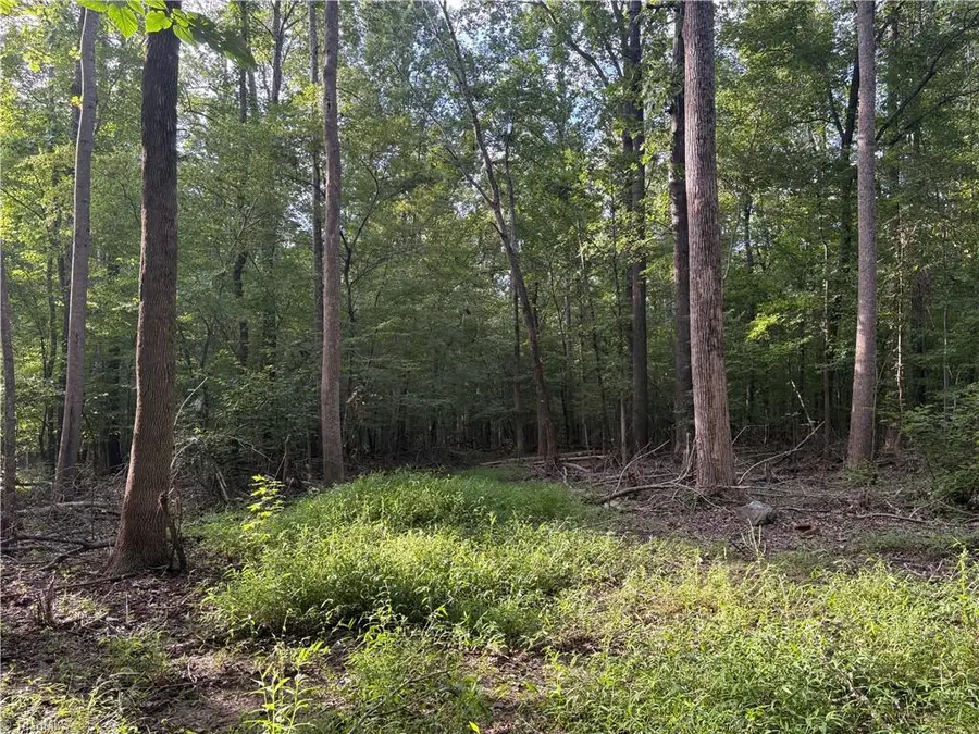 7149 Nature Road, Liberty, NC 27298 - #2