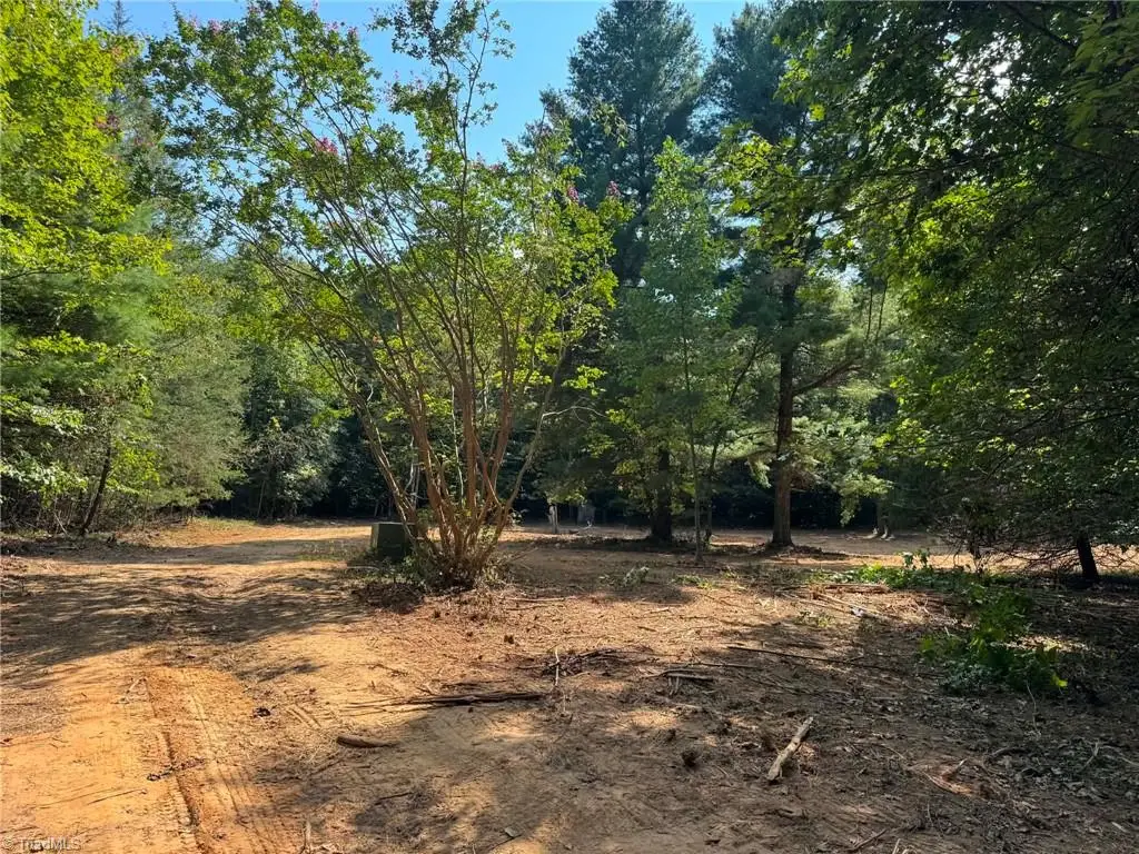 1036 Antler Run Drive, Jonesville, NC 28642 - #1