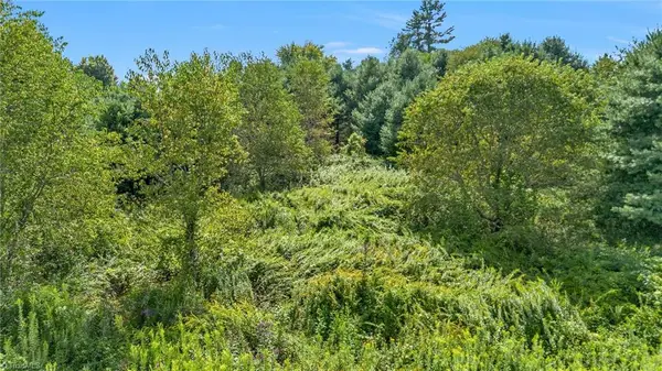 Lot  69 Green Meadows Drive, Todd, NC 28684