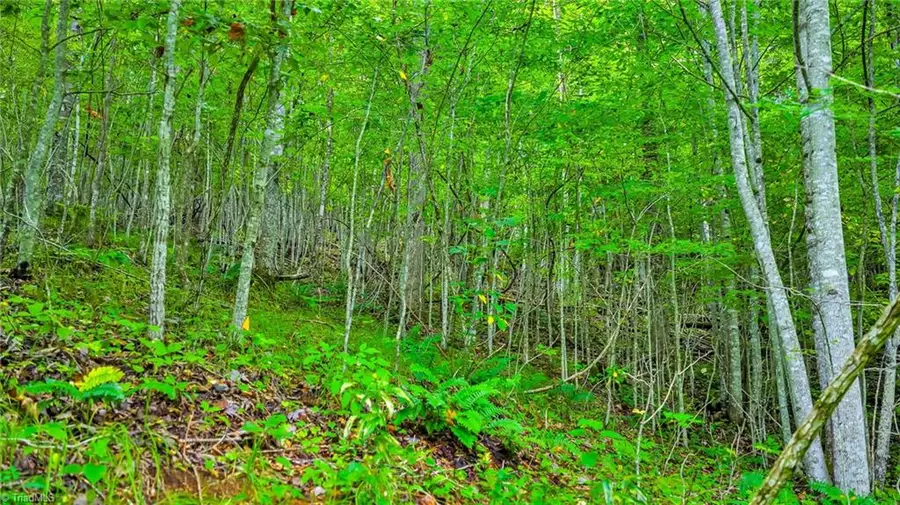 TBD W Deep Ford Road, Lansing, NC 28643 - #2