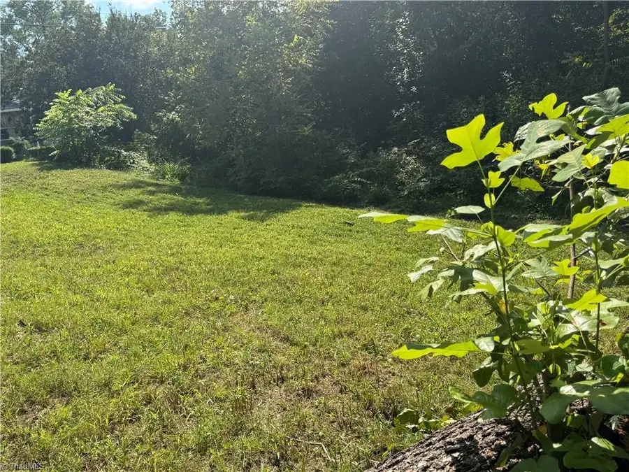 2329 Dunbar Street, Winston Salem, NC 27105 - #3