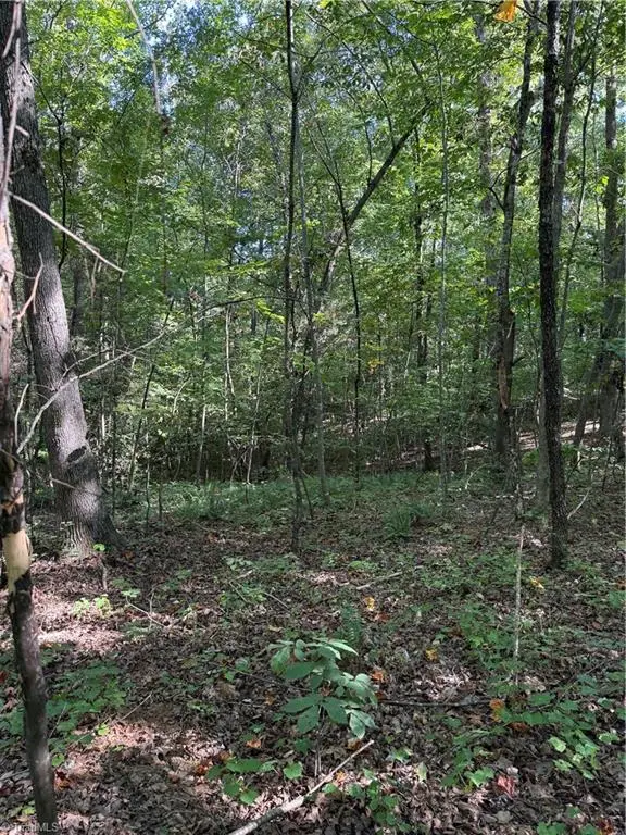 5102 Waynick Meadow Road, Asheboro, NC 27205 - #2