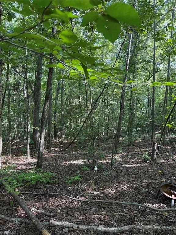 5102 Waynick Meadow Road, Asheboro, NC 27205 - #3