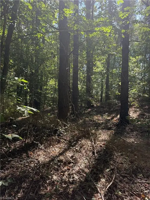 0000 Cook Florist Road, Reidsville, NC 27320 - #3