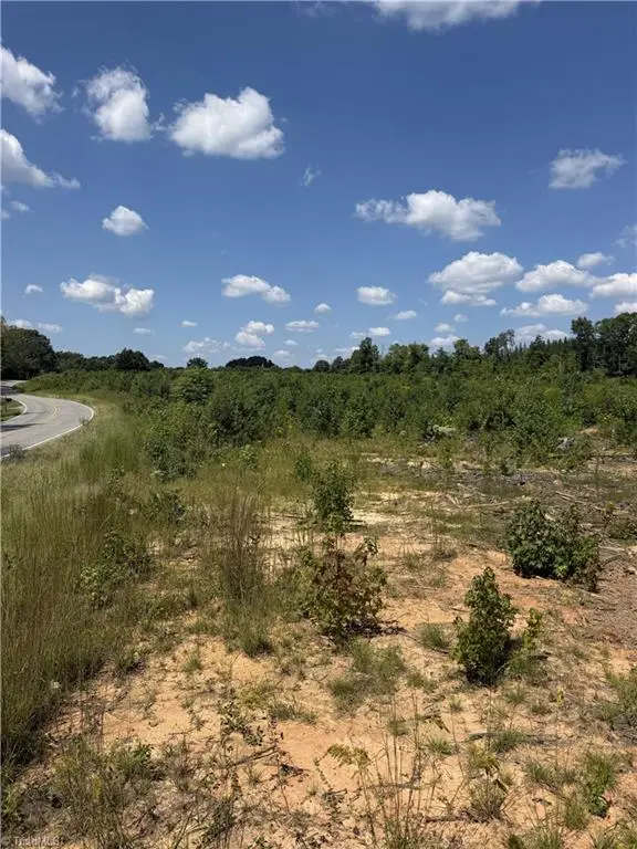 0000 Mizpah Church Road, Reidsville, NC 27320 - #2