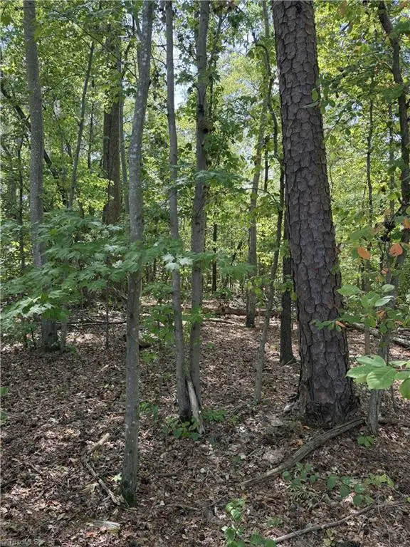 000 Mizpah Church Road, Reidsville, NC 27320 - #2
