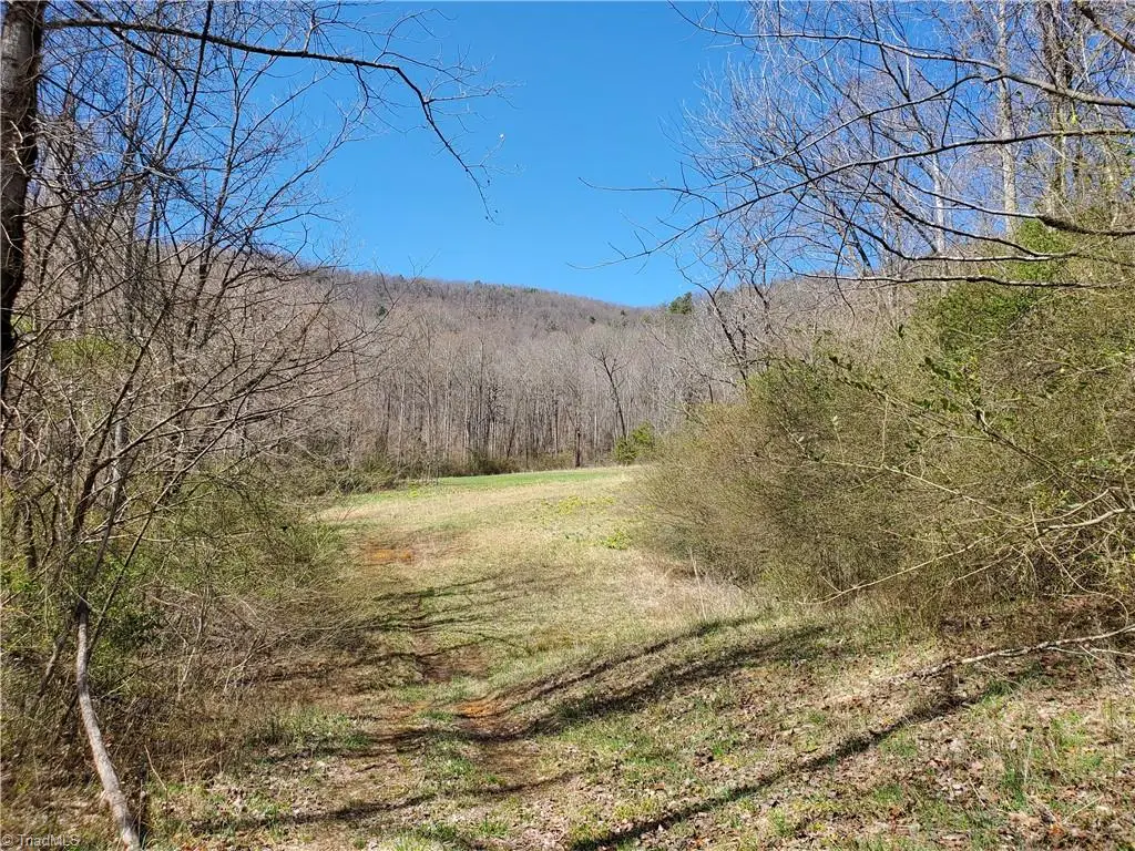 8057 Nc Highway 16, Moravian Falls, NC 28654 - #1