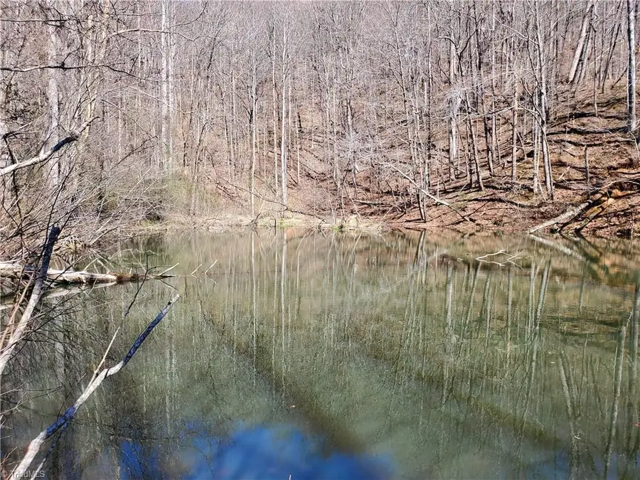 8057 Nc Highway 16, Moravian Falls, NC 28654 - #3