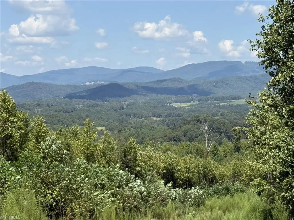 Off Bauguess Mill Road, Traphill, NC 28685 - #1