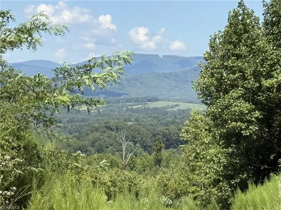Off Bauguess Mill Road, Traphill, NC 28685 - #3