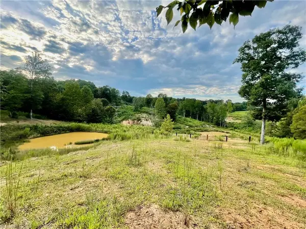 TBD Ellas Lane, Roaring River, NC 28669