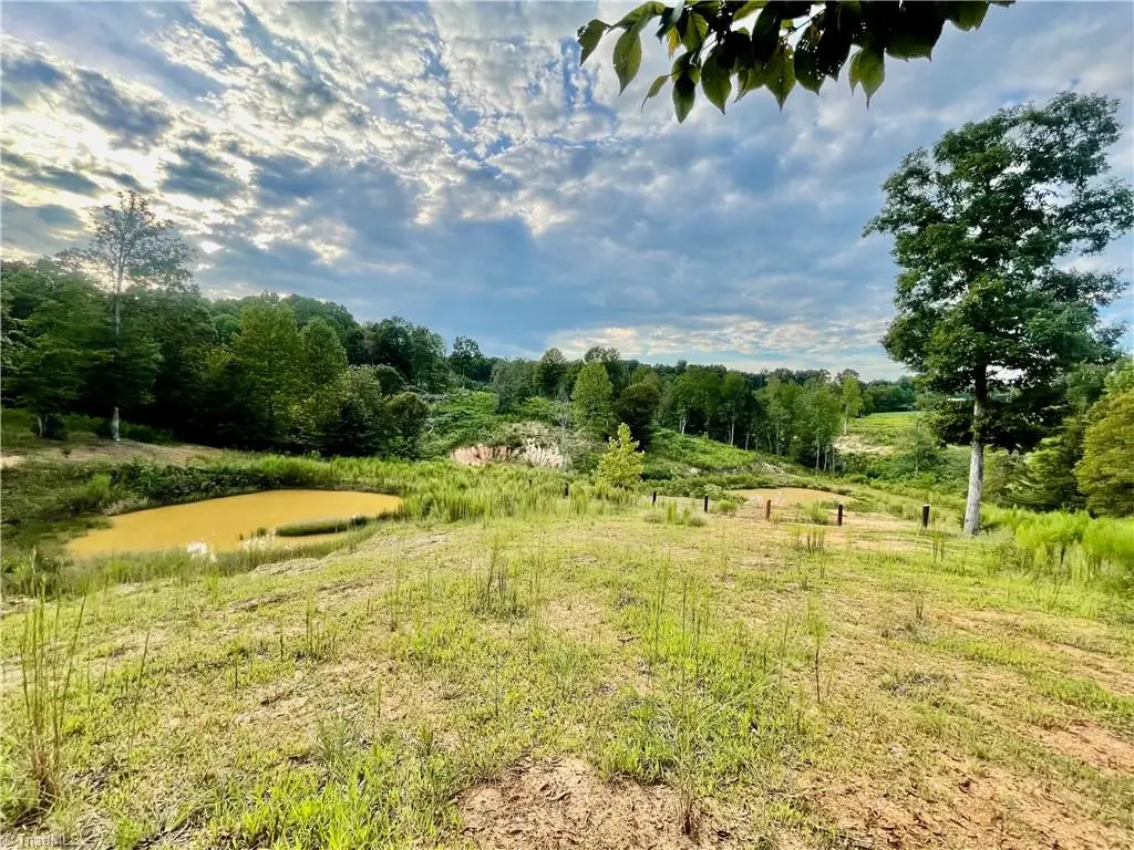 325 Ellas Lane, Roaring River, NC 28669 - #1