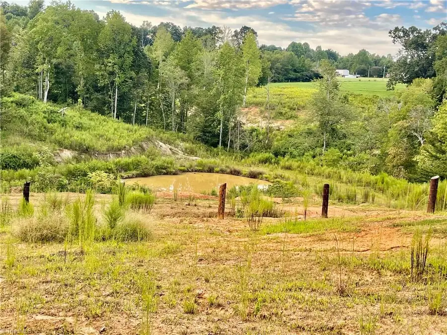 325 Ellas Lane, Roaring River, NC 28669 - #3