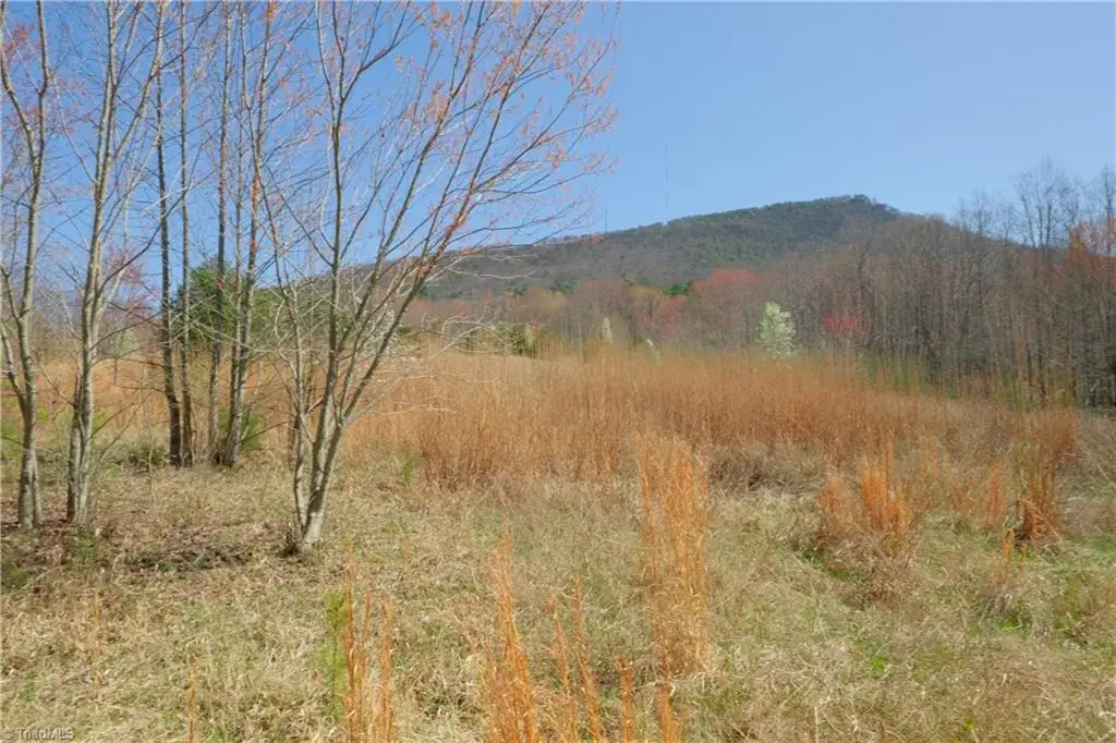 7 Old Mill Road, Pinnacle, NC 27043 - #1